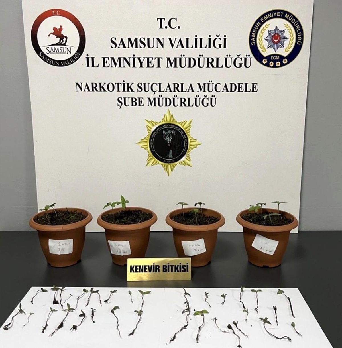 Samsun\'da Uyuşturucu Operasyonu