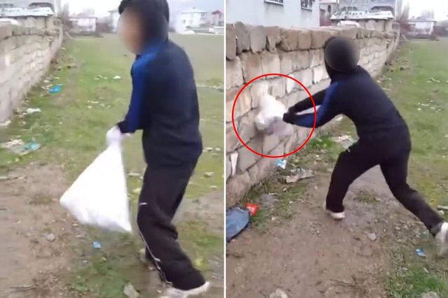 Van’da bir grup çocuk kediye böyle eziyet etti! Çuvala koyup duvara vurdular