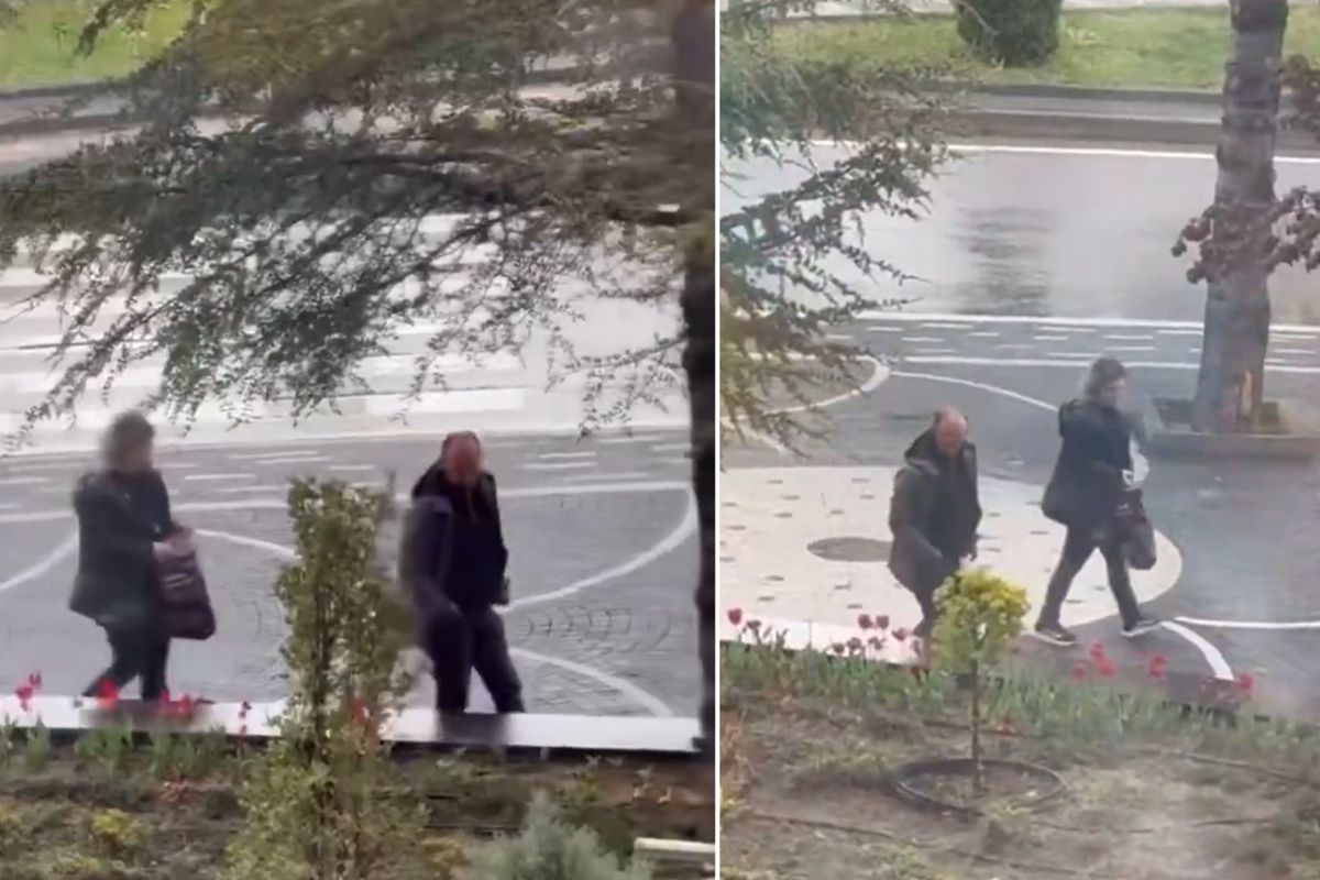 Yer: Kayseri! Belediyenin diktiği laleleri böyle söktüler