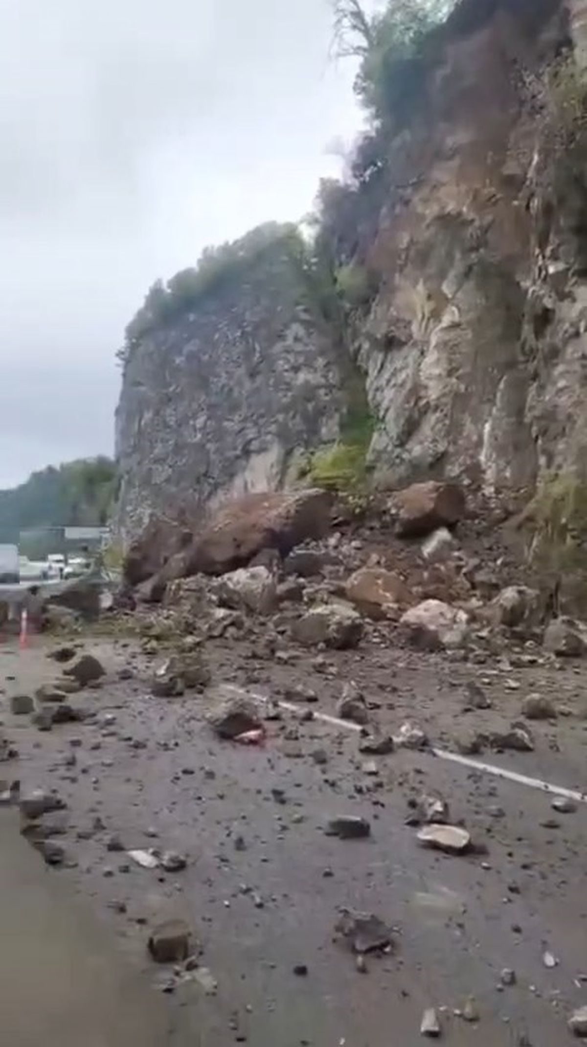 Artvin\'de Heyelan: Yol Kapandı, TIR Zarar Gördü