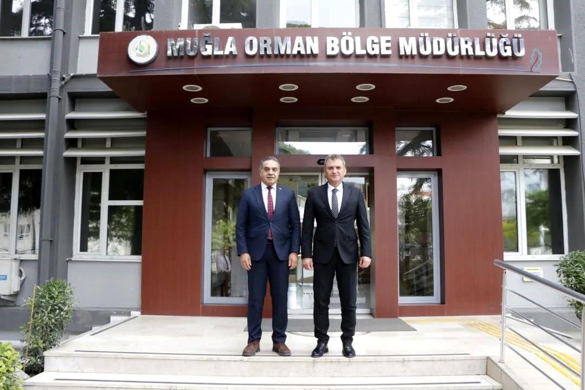 Aydın\'da Kestane Ağaçları İçin Biyolojik Mücadele