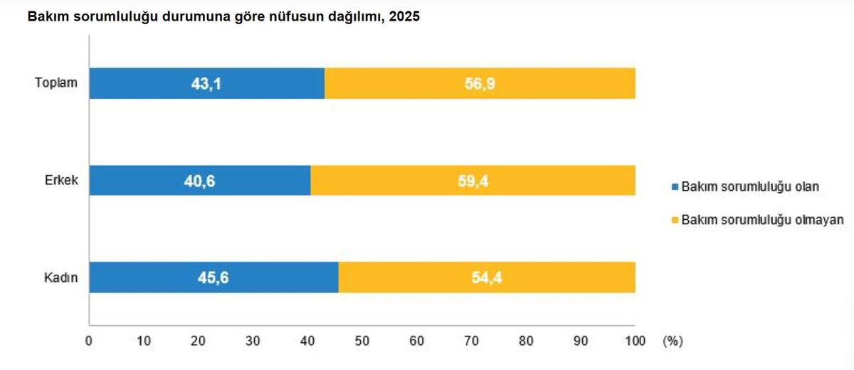2025\'te Türkiye\'de Bakım Sorumluluğu ve İstihdam