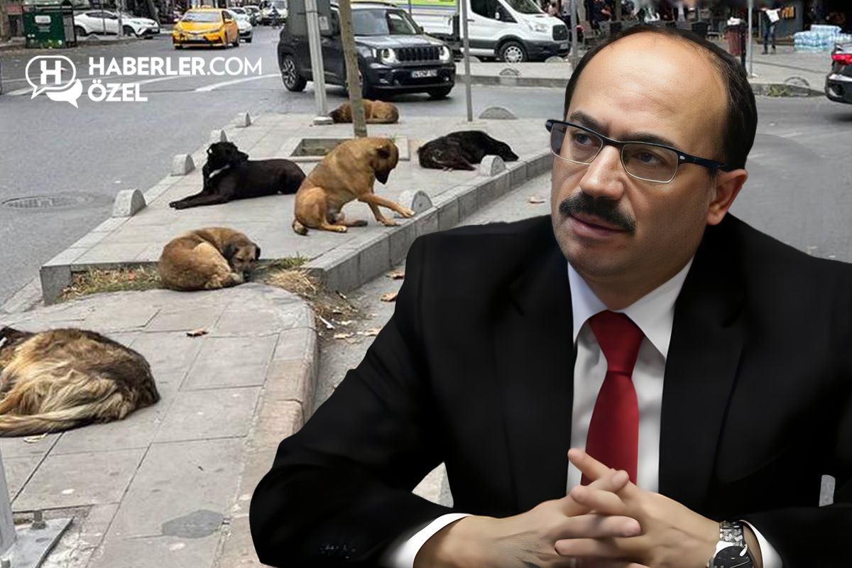 Köpeklerle ilgili sözleri gündem yaratan Osman Mesten\'den ilk açıklama