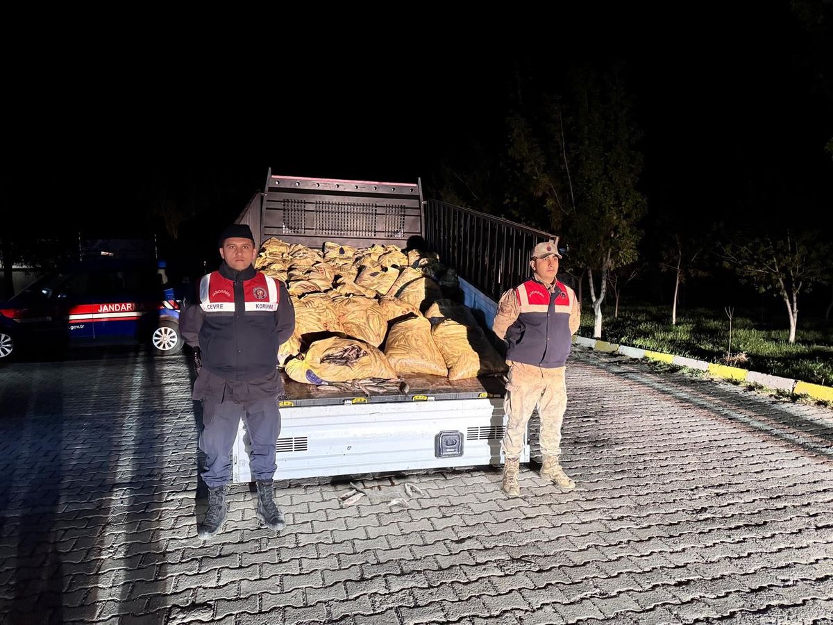 Vanda Kaçak İnci Kefali Avcılığına Baskın