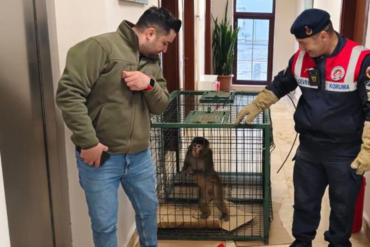 Yozgat\'ta köy yolunda bulundu, gören şaştı kaldı