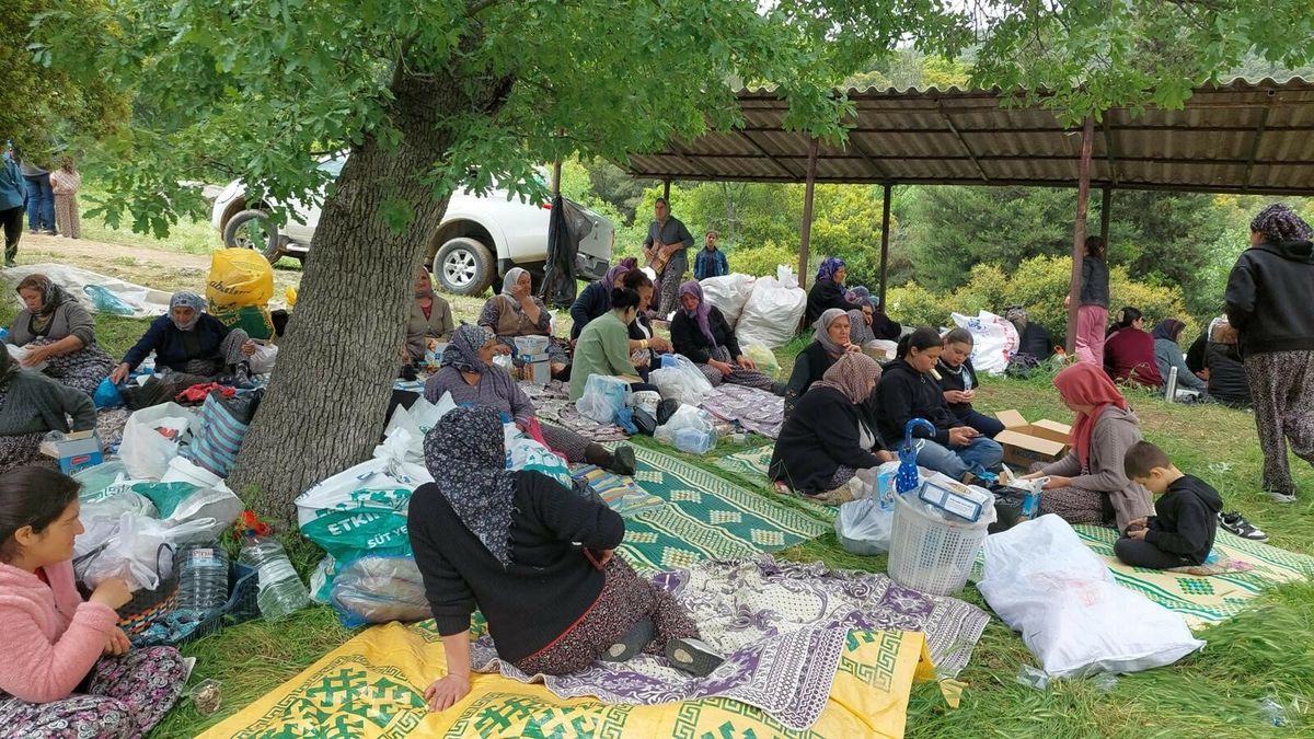 208 Yıllık Olcak Dede Geleneği Sarıgöl’de Kutlandı