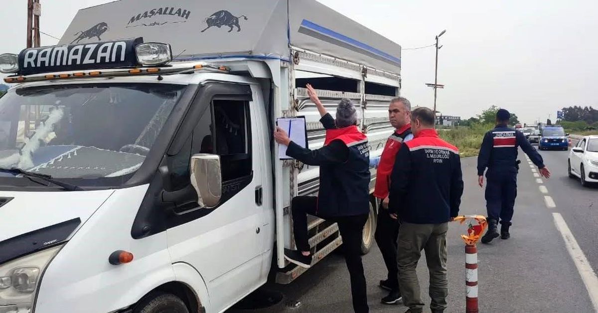 Aydın\'da Kurban Bayramı İçin Hayvan Denetimleri Artırıldı