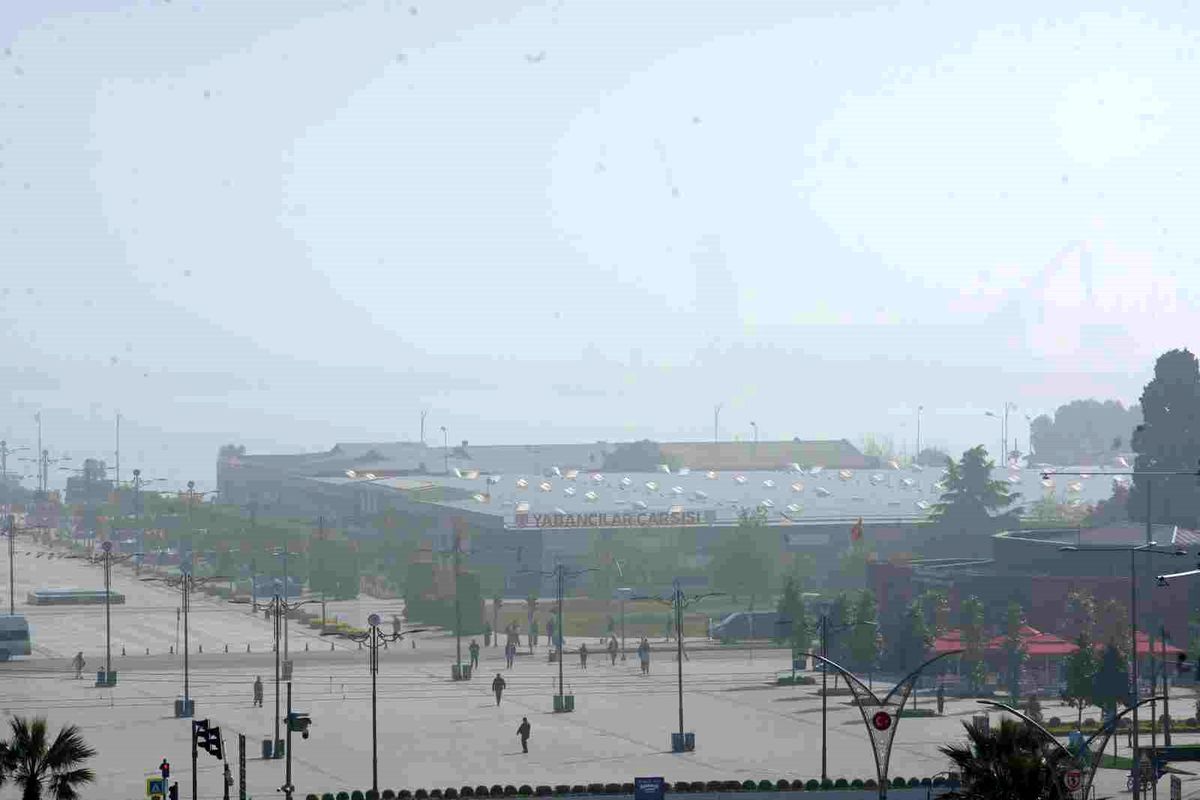 Samsun\'da Pus ve Sis Etkili Oldu