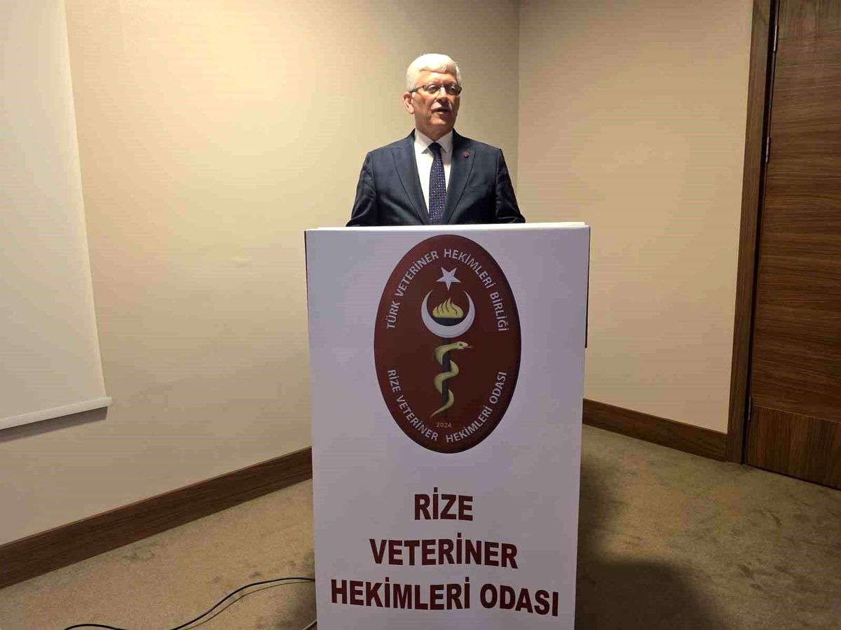 Sahipsiz Hayvanlar İçin Çalışmalar Devam Ediyor