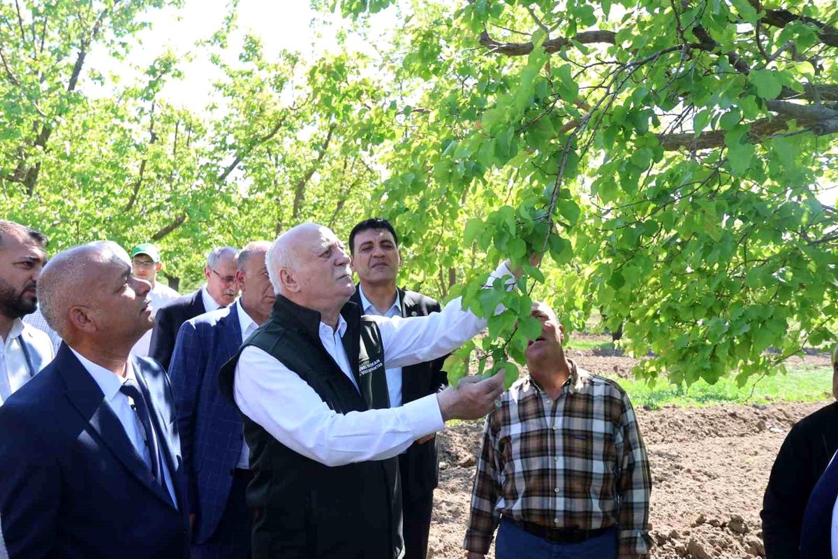 Zirai Don ve Doğal Afetler Iğdır\'da İncelendi