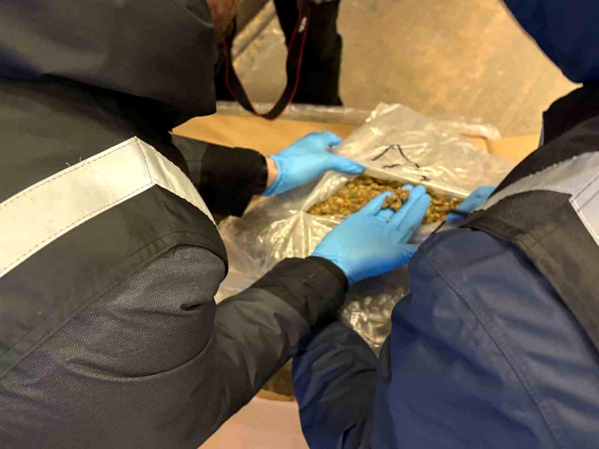 Uyuşturucu Operasyonları: 659 Kilogram Ele Geçirildi