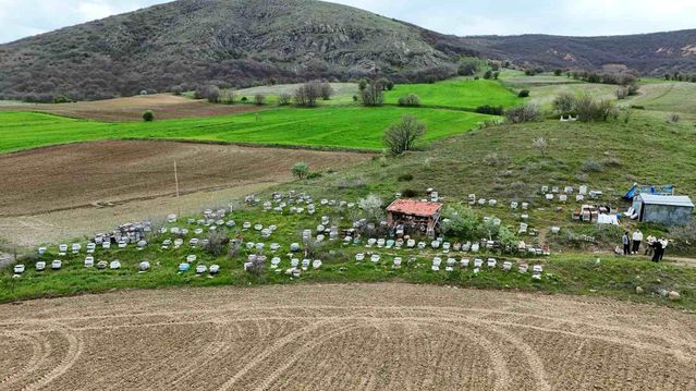 Yozgat’ta Arıcılara Yağışlar Moral Oldu