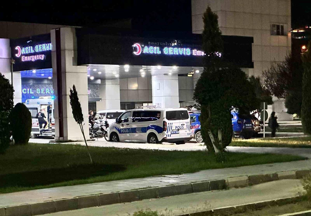 Elazığ\'da Bıçaklı Kavga: 16 Yaşındaki Çocuk Hayatını Kaybetti