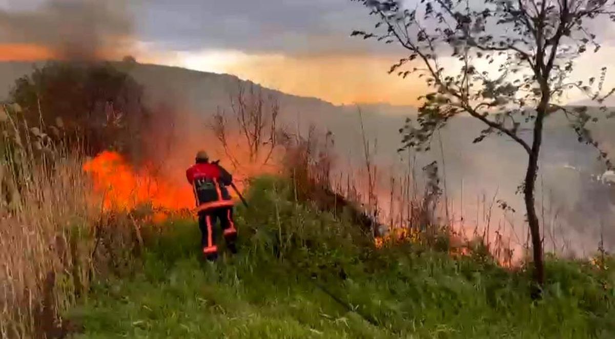 Elazığ\'da otluk alanda yangın