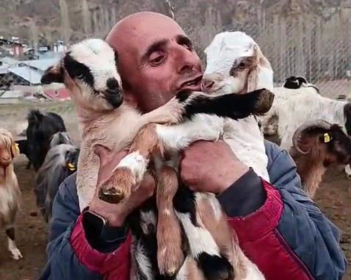 Şahin Dürlü\'nün Oğlaklara Şefkati