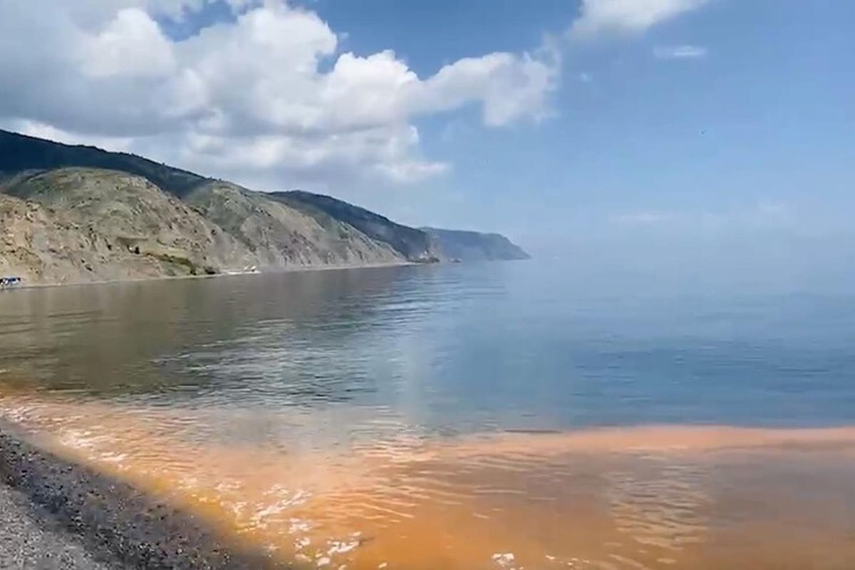 Marmara\'da deniz suyundaki renk değişiminin altından planktonlar çıktı