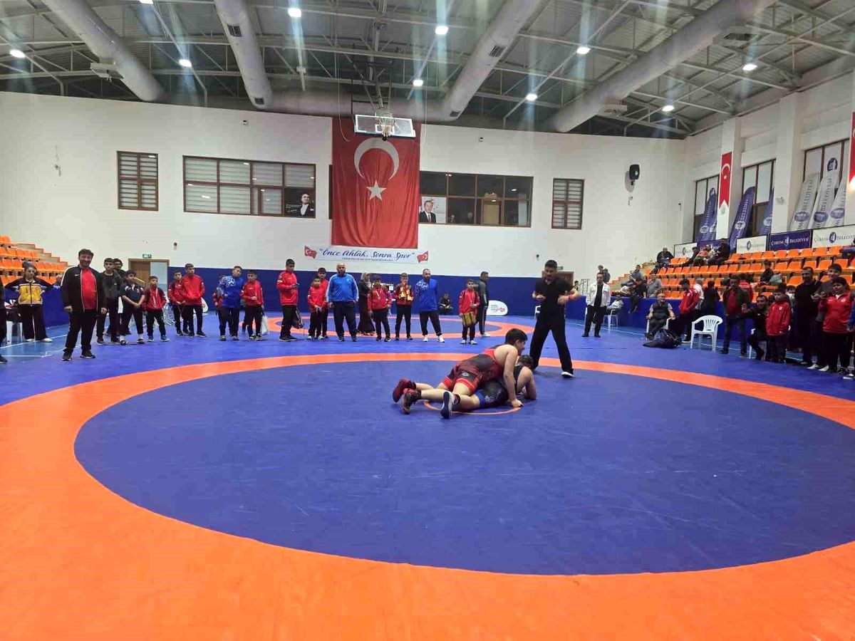 Olimpiyat şampiyonları anısına güreş turnuvası düzenlendi