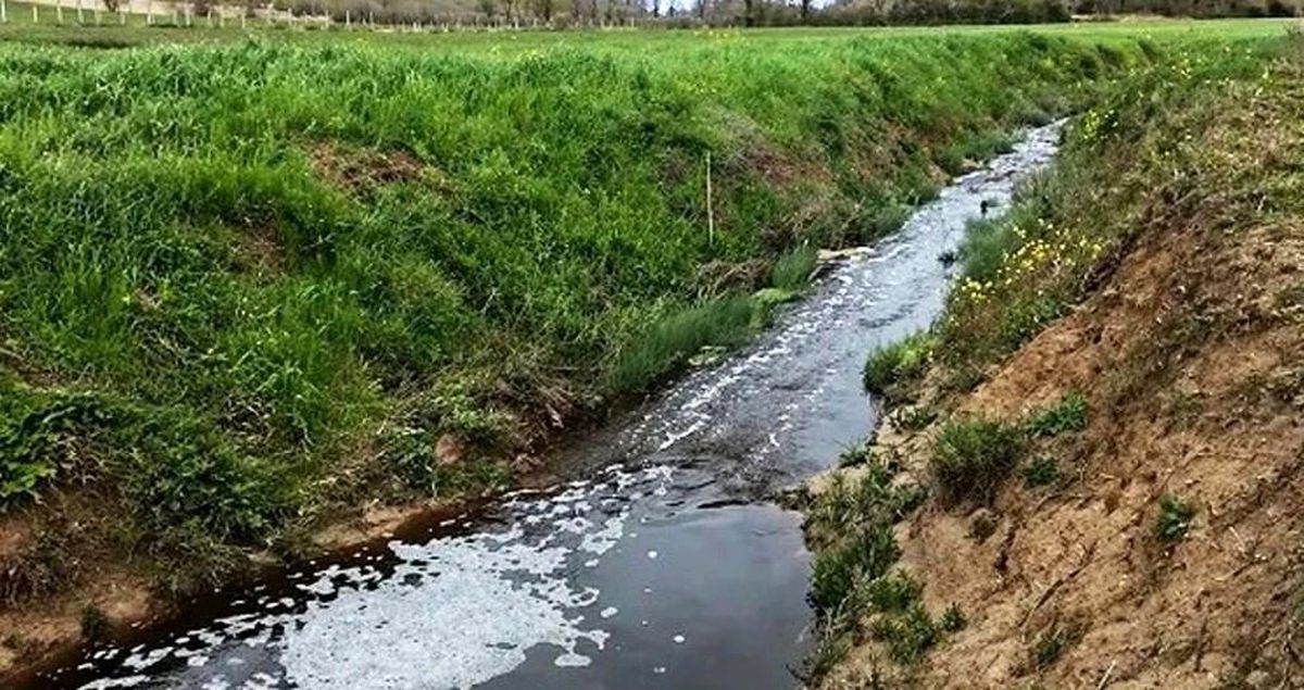 Sinop\'ta çevreyi kirleten tesise 1.6 milyon TL ceza