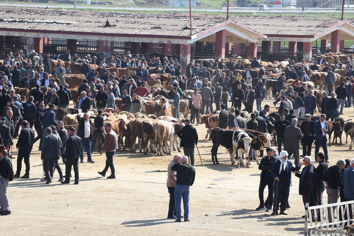 Ağrı Hayvan Borsası\'nda Kurban Bayramı Hareketliliği