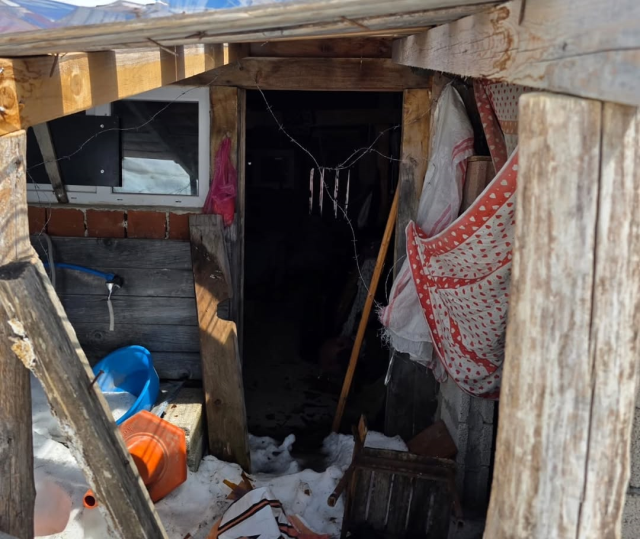 Çamlıhemşin yaylalarında ayı paniği! Yayla evleri paramparça edildi