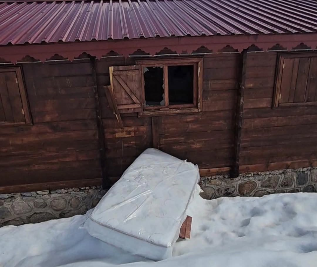 Çamlıhemşin yaylalarında ayı paniği! Yayla evleri paramparça edildi