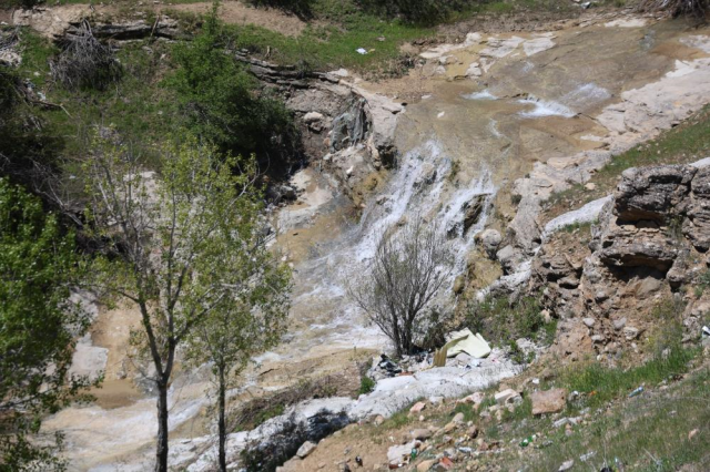 70 yıl sonra canlandı! Mest eden görüntü
