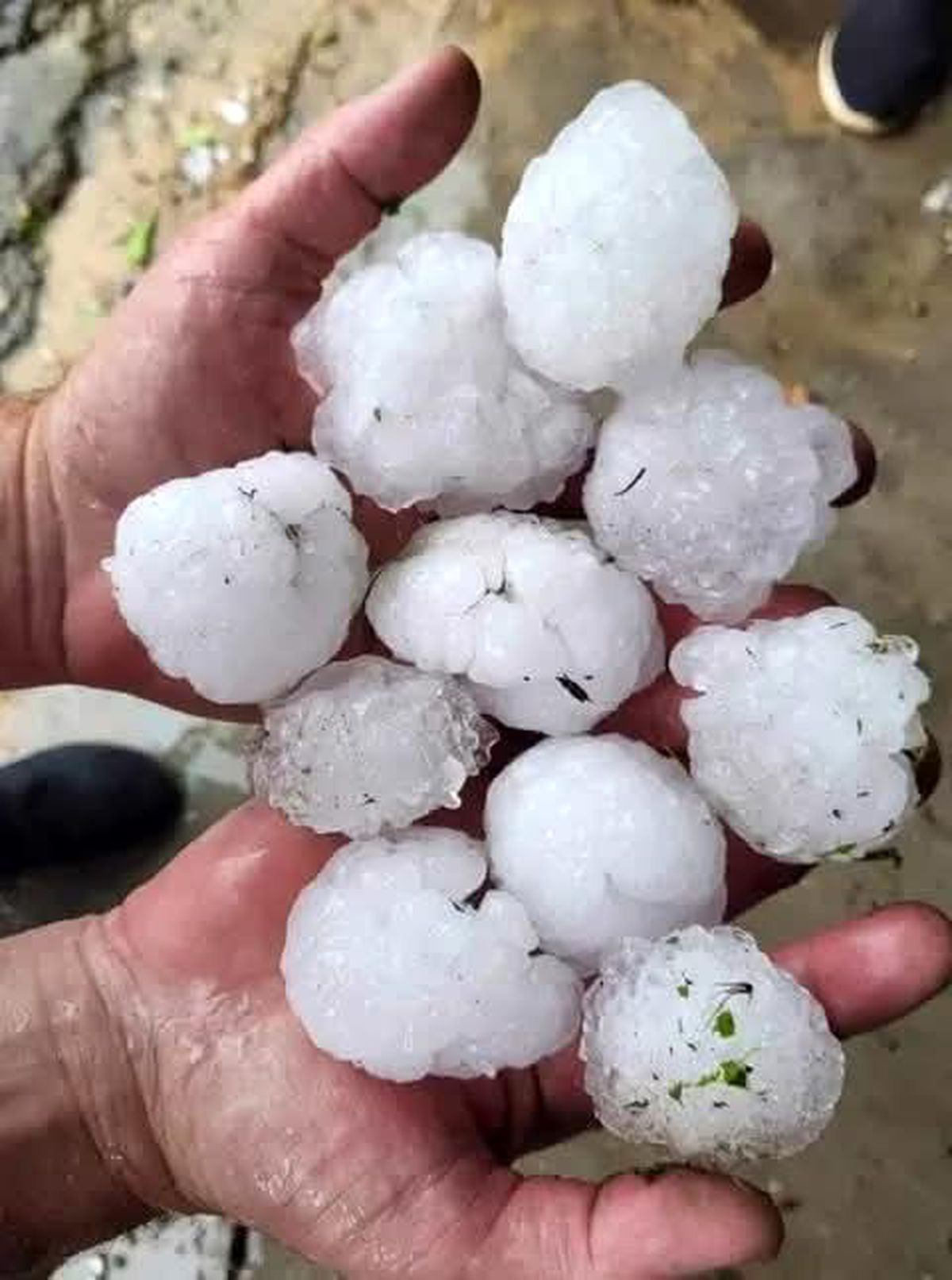 Tryavna\'da Şiddetli Dolu Yağışı