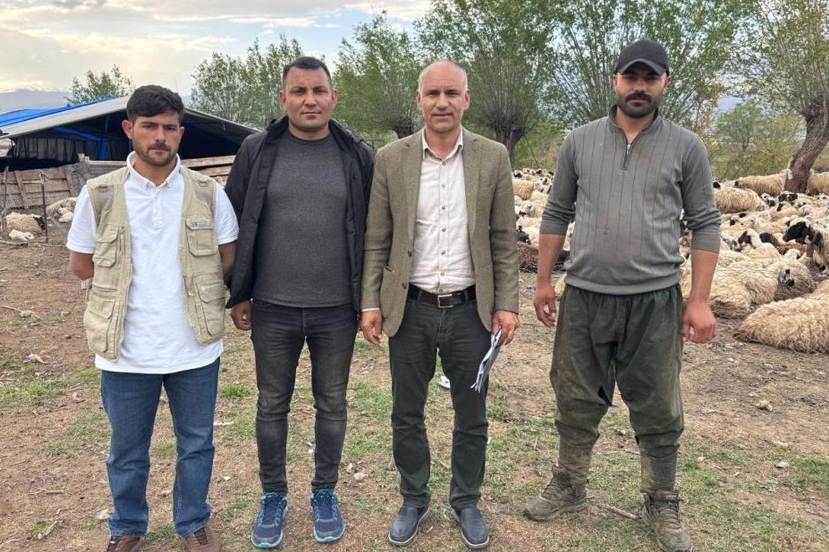 Erzincan\'da Çoban Sorunu İçin Çözüm: Afgan Çobanlar