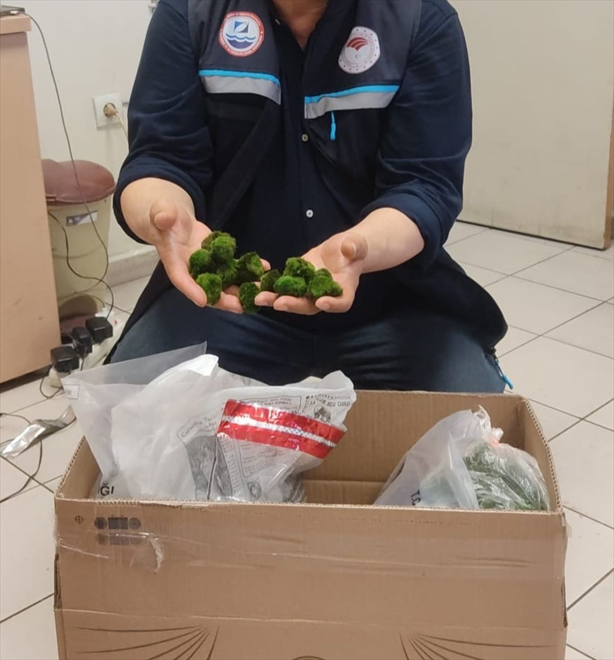 Kapıkule\'de 2 bin 125 canlı yeşil alg ele geçirildi
