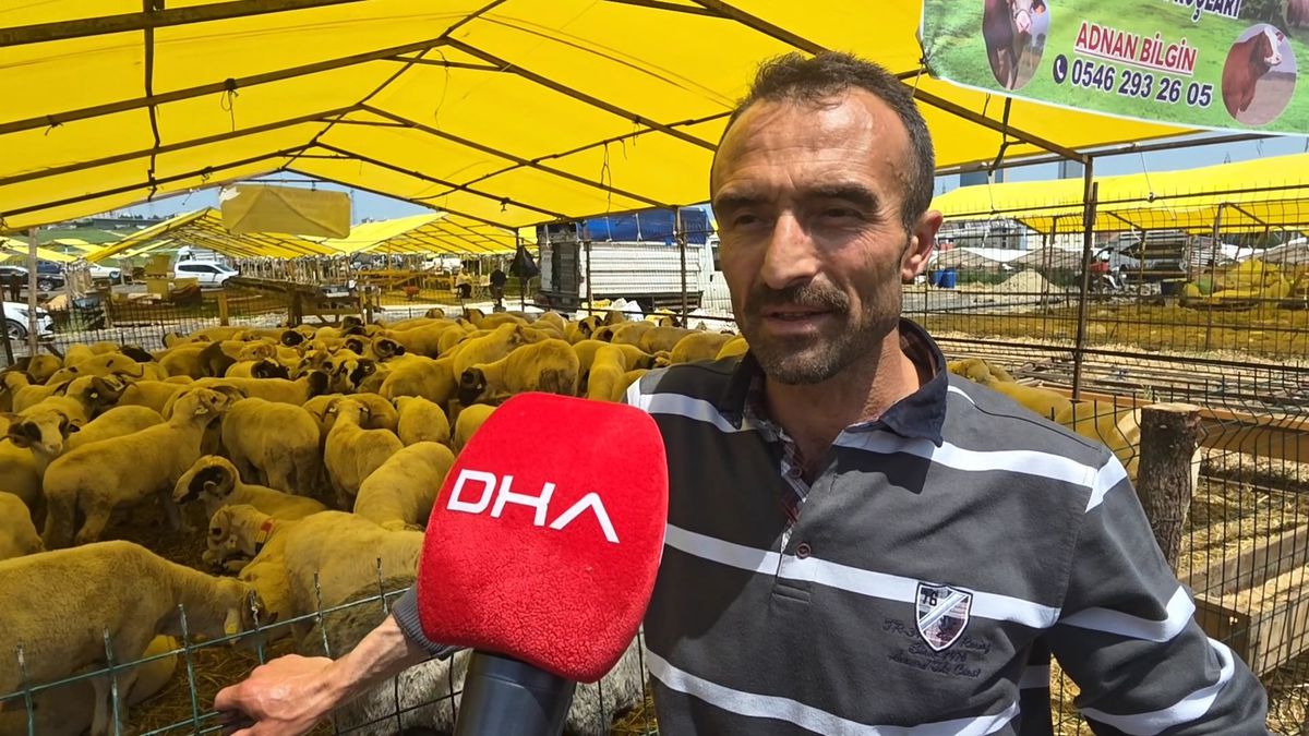 İstanbul\'da Kurban Pazarındaki Fiyatlar