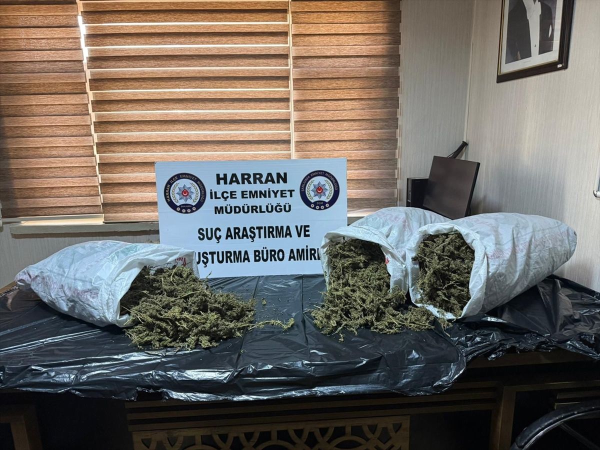 Harran\'da 8 Kilogram Esrar Ele Geçirildi