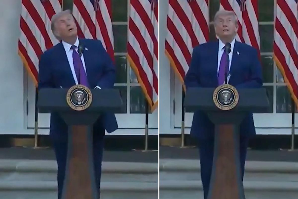 Trump\'ın korku dolu anları! Kuşu dron sanınca büyük panik yaşadı