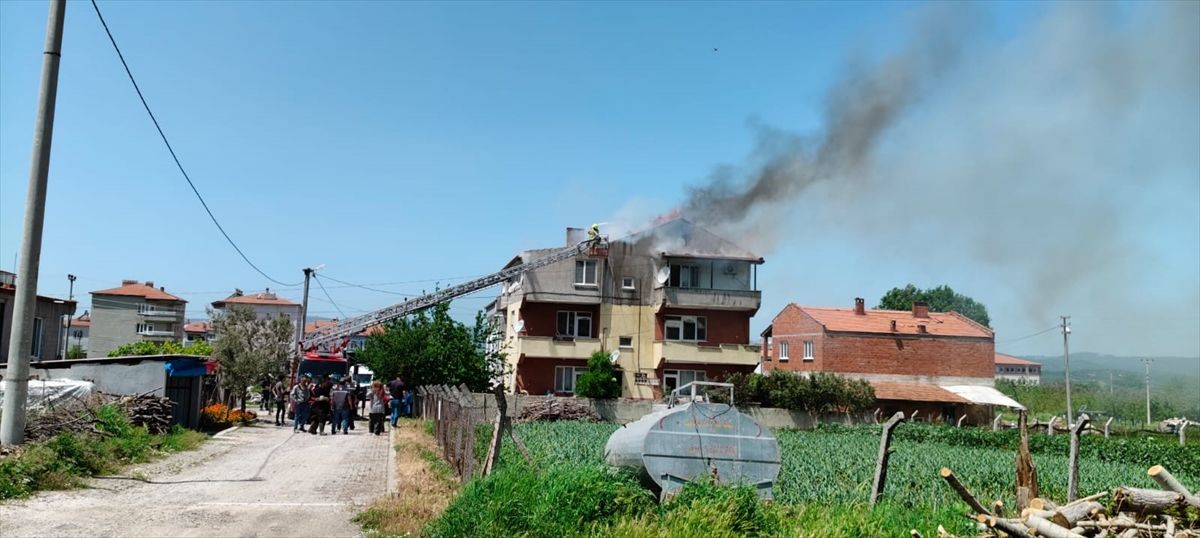 Savaştepe\'de Baca Yangını