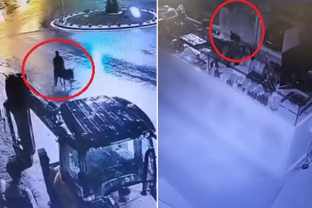 Eşekle kaçan hırsıza verilen cezanın gerekçesi açıklandı