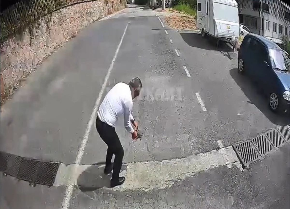Şoförden Kaplumbağa Kurtarma Davranışı