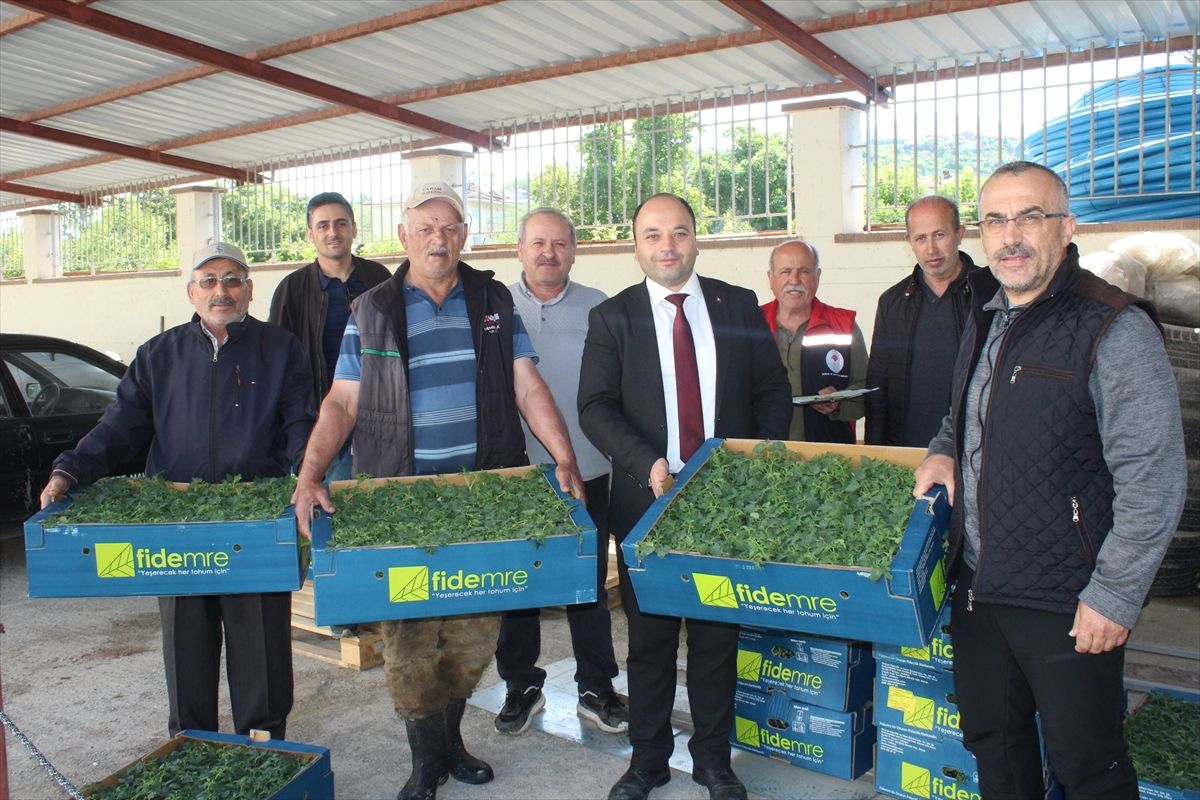 Tokat\'ta Üreticilere 13 Bin Fide Dağıtıldı
