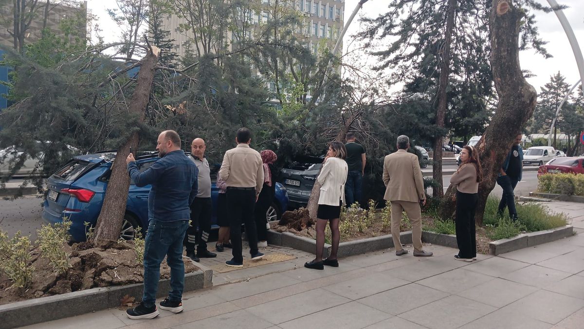 Ankara\'da Kuvvetli Rüzgar Zarara Neden Oldu