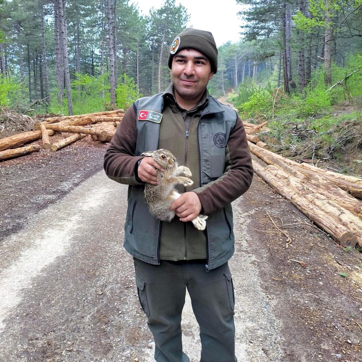 Yavru Tavşan Kurtarıldı