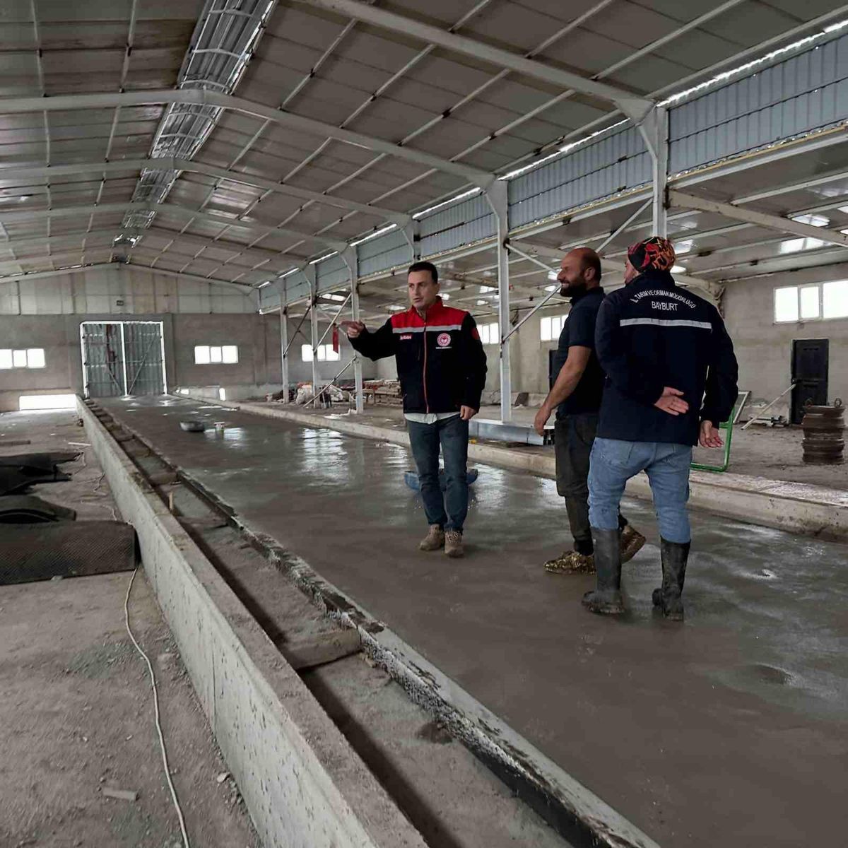Bayburt\'ta Yeni Büyükbaş Ahır İncelemesi