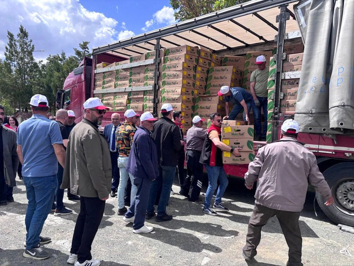 Erzincan\'da 220 Üreticiye Fide Dağıtıldı