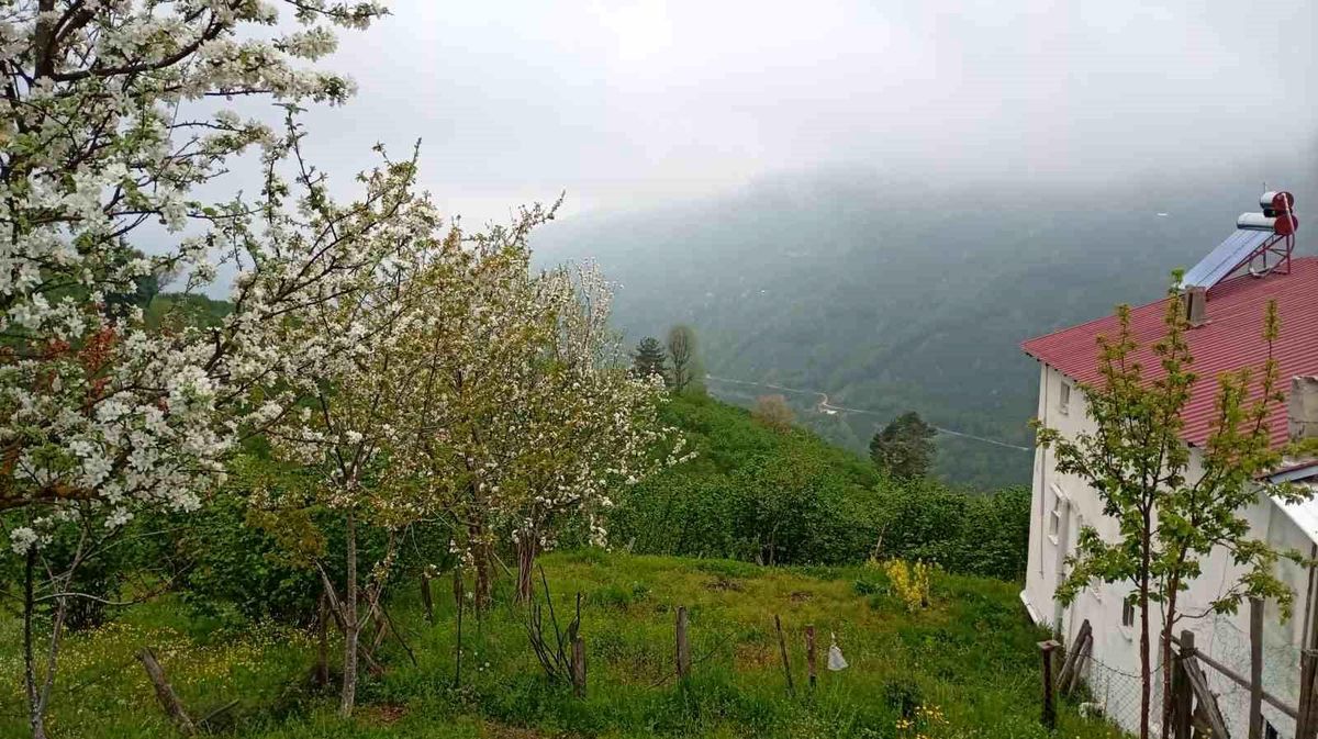Hendek\'te Bahar Manzaraları