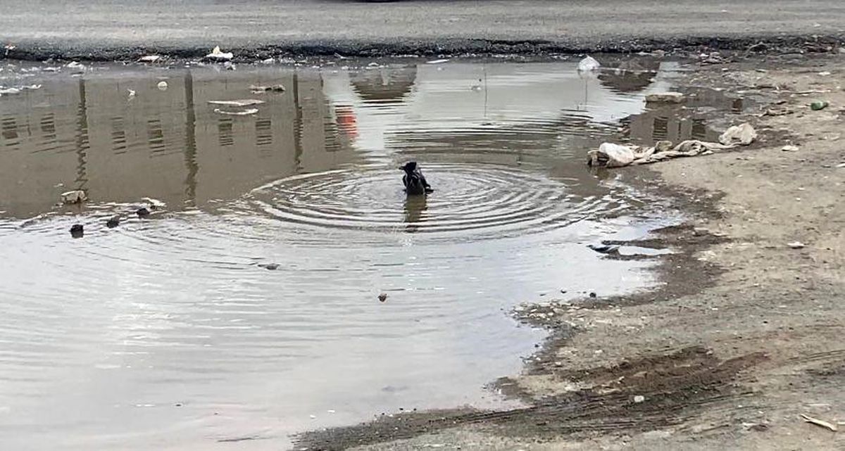 Iğdır\'da Karga Banyosu