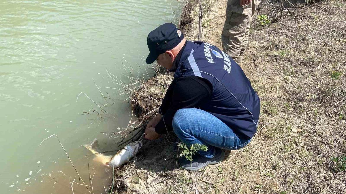 Karasu Nehri\'nde kaçak avcılığa karşı denetim yapıldı