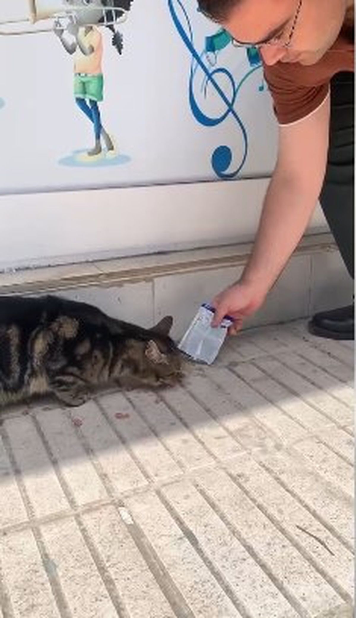 Mahsur Kedi Öğrenciler Sayesinde Kurtarıldı