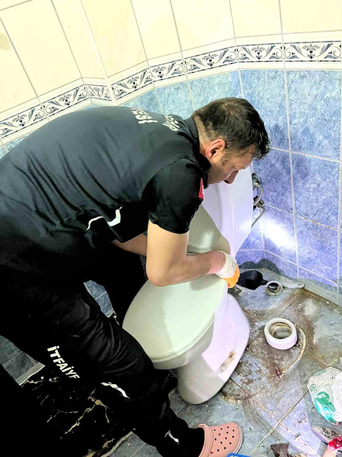 Klozete düşen yavru kedi itfaiye tarafından kurtarıldı