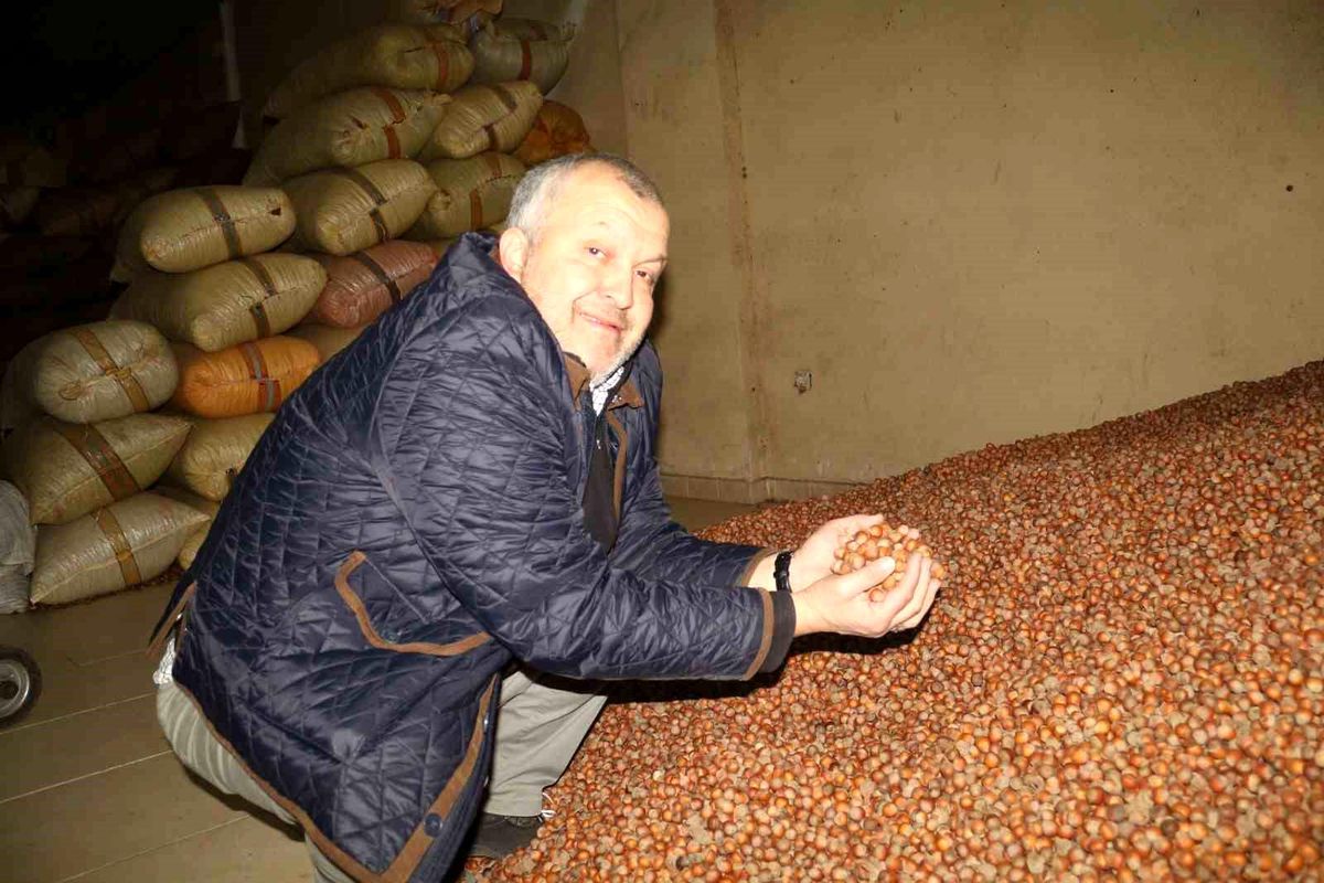 Giresun\'da Fındık Fiyatları Düşüşte