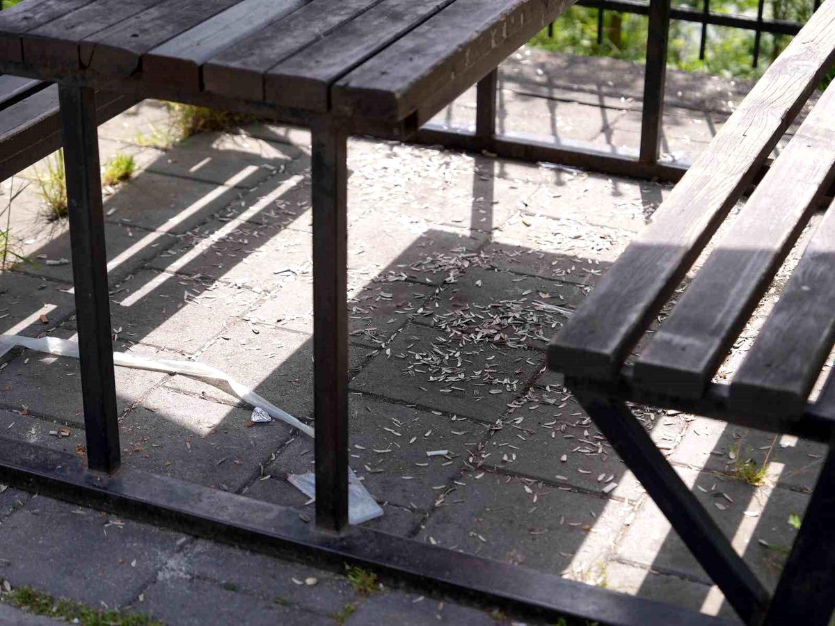 Melen Su Park\'ta utandıran manzara