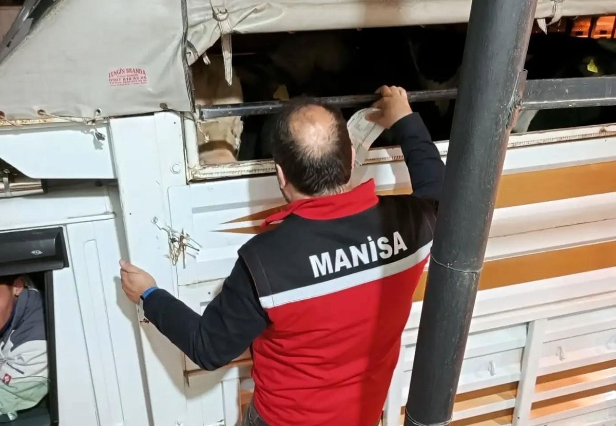 Kurban Bayramı Öncesi Hayvan Nakil Denetimleri