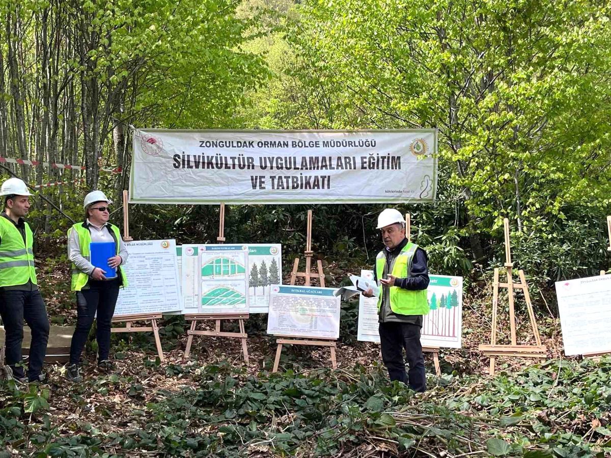 Zonguldak\'ta Silvikültür Eğitimleri Tamamlandı
