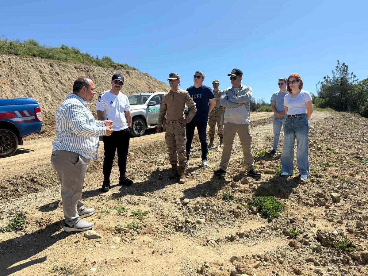 Eceabat\'ta Tarihi Yürüyüş Yolu İncelemesi